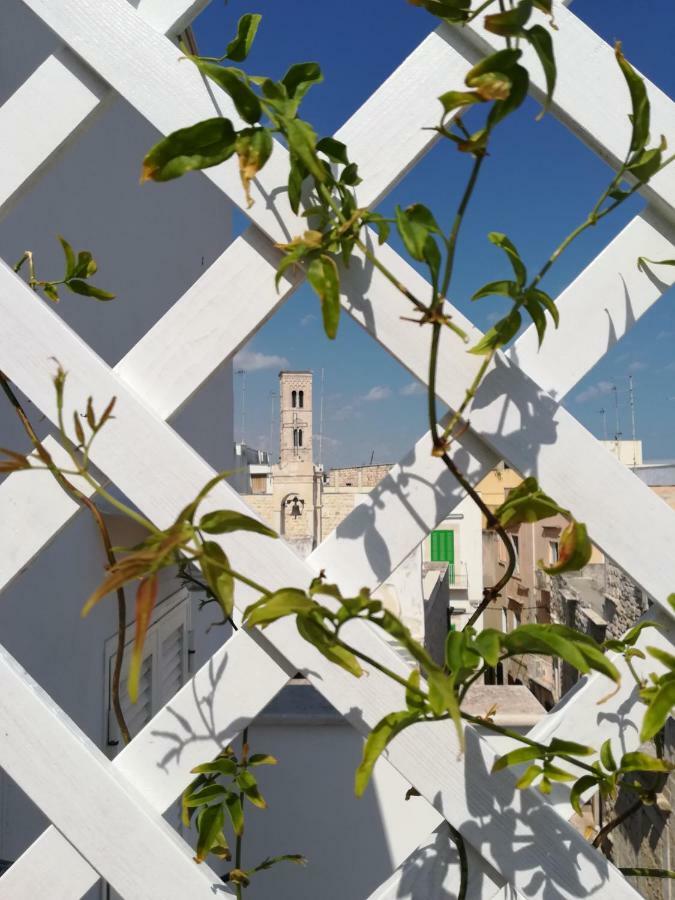 Sant'Andrea Apartment Molfetta Bagian luar foto